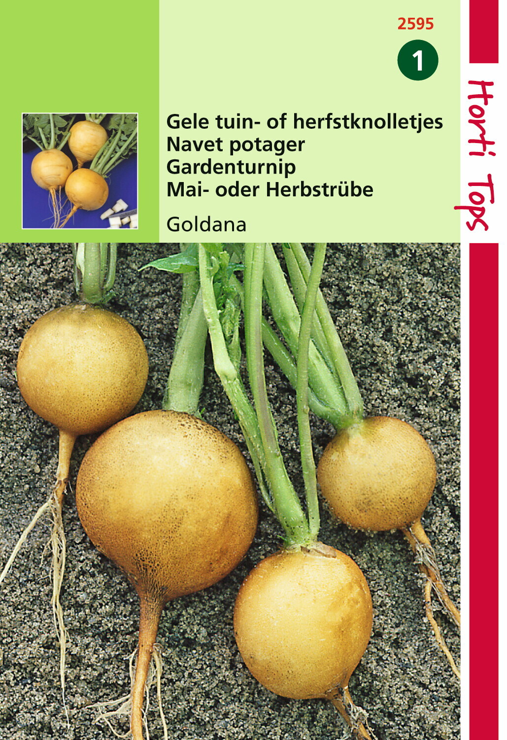 Navets Goldana (Goudbal Kortlof) 10 grammes