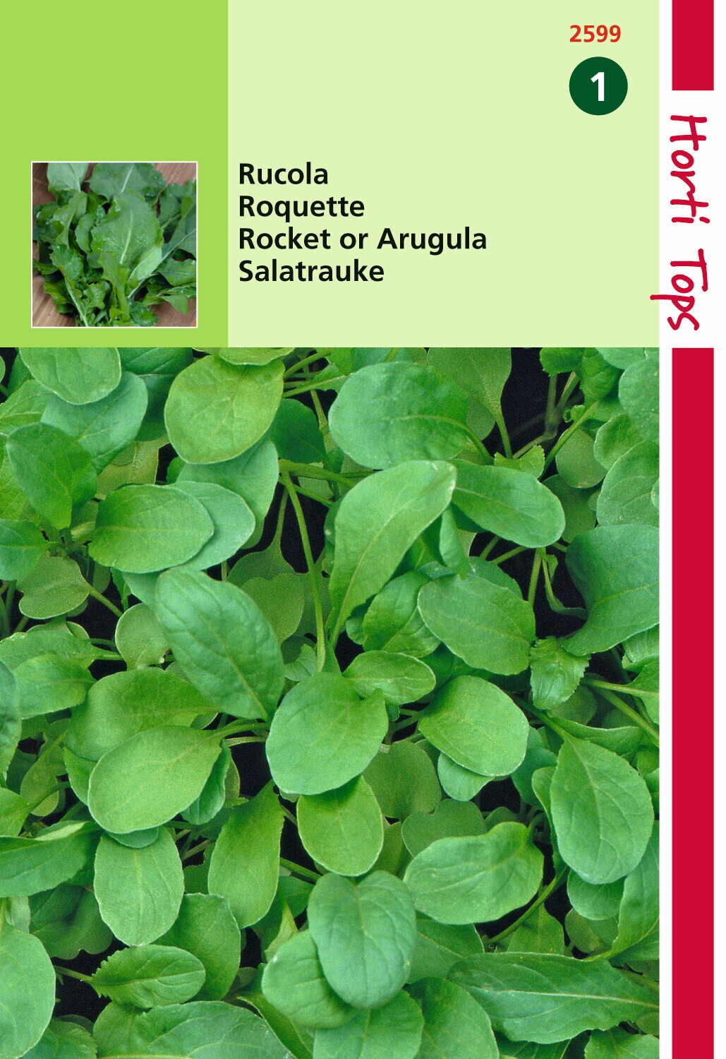 Rucola Coltivata (Eruca (Vesicaria) Sativa) 5 Gramm