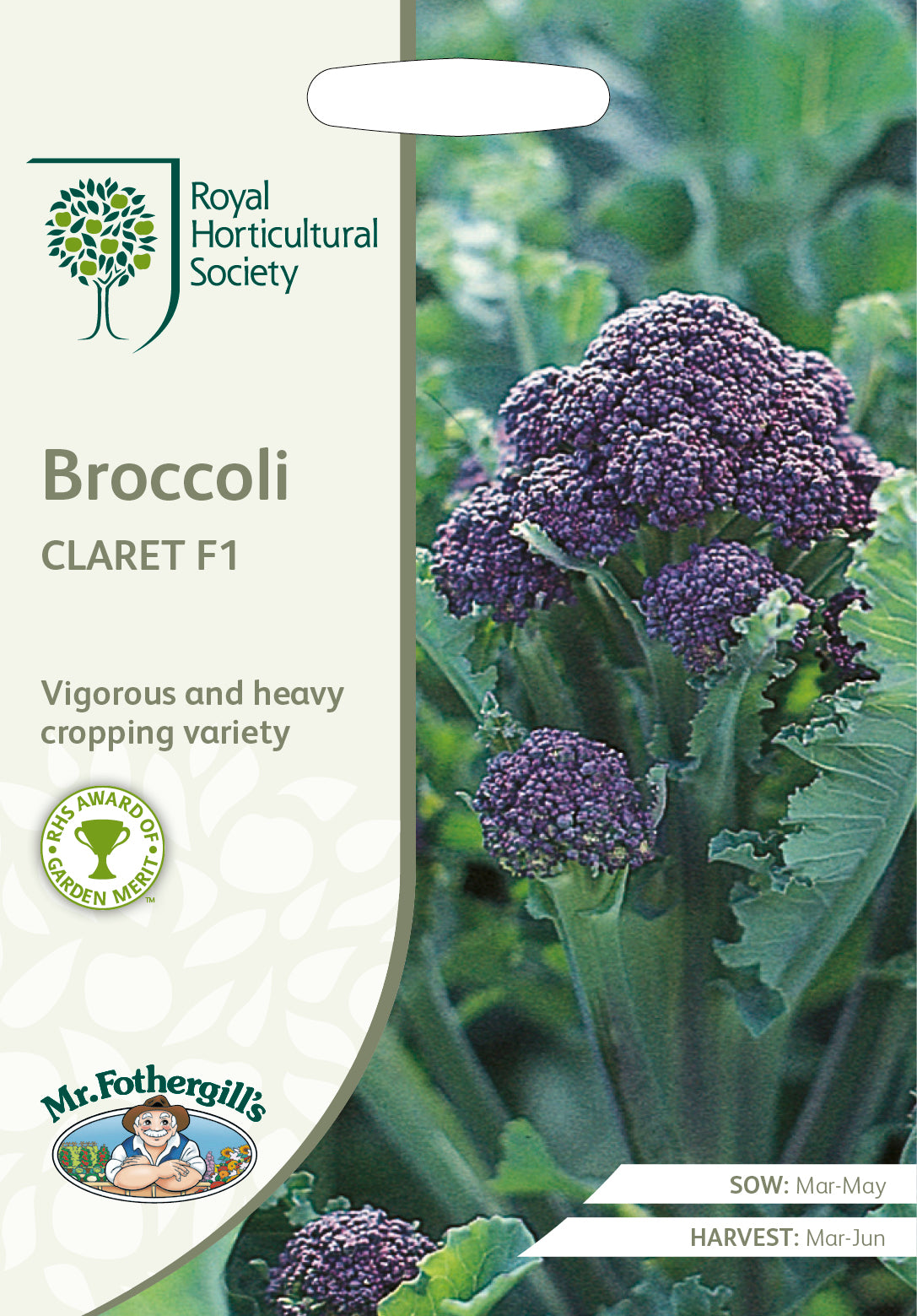 Paarse broccoli Claret F1  -  60 Zaden