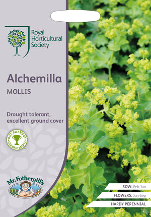 Vrouwenmantel alchemilla mollis - 200 Zaden