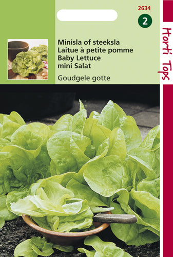 Mini laitue Gotte Jaune D'Or - contenu : 3 grammes