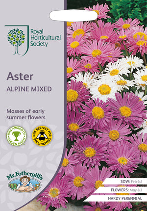 Aster aster alpinus Alpine Mixed  -  250 Zaden