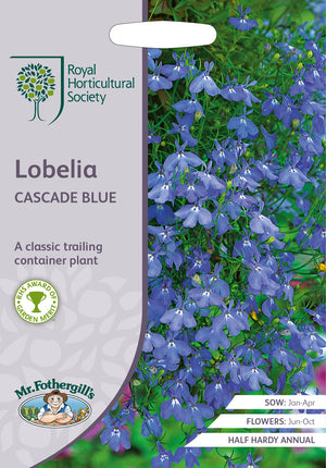 Lobelia erinus Cascade Blue – 2500 Samen