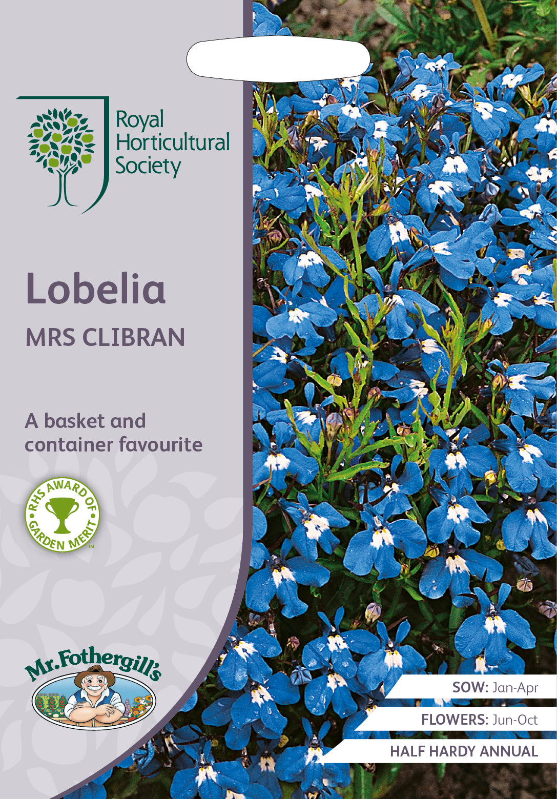 Lobelia erinus Mrs Clibran  -  2500 Zaden