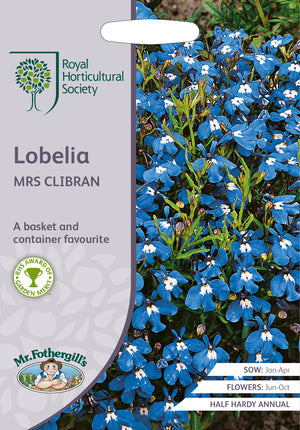 Lobelia erinus Mme Clibran - 2500 graines