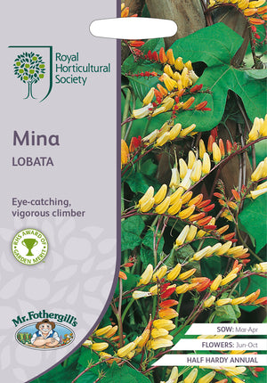 Spanische Flagge Mina Lobata – 30 Samen