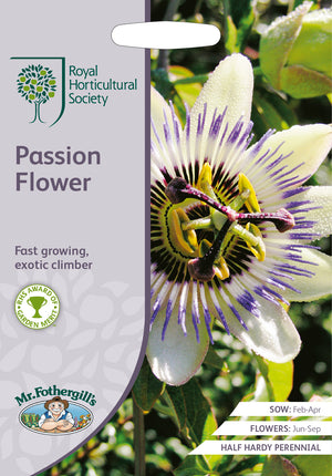 Fleur de la passion bleue Passiflora caerulea - 50 graines