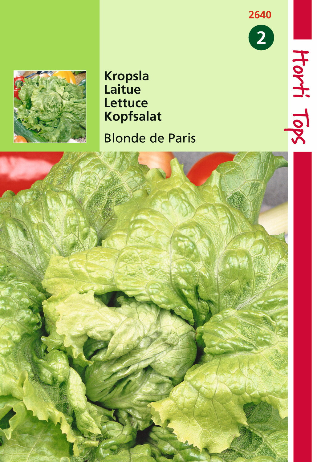 Salat Batavia Blonde (Salat-Endivie) 3 Gramm