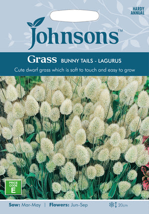 Hasenschwanz Lagurus ovatus 'Bunny tails' - 150 Samen