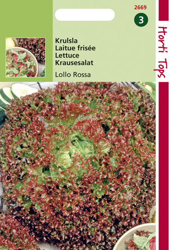 Laitue frisée Lollo Rossa - contenu: 2 grammes