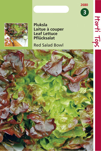 Eikenbladsla Rood - Red Salad Bowl - inh.: 2 gram