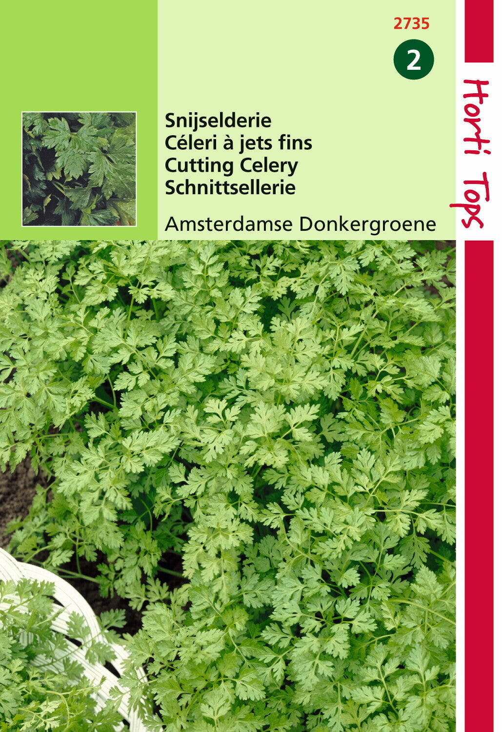 Geschnittener Sellerie Amsterdam Dark Green 2 Gramm