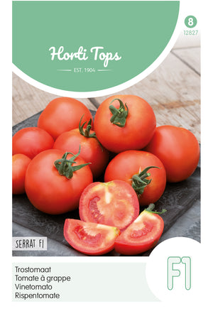 Tomate de vigne Serrat F1 gramme 25 graines Hortitops