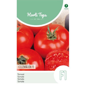 Tomato Celebration F1 tomate de bœuf 0,2 gramme Hortitops