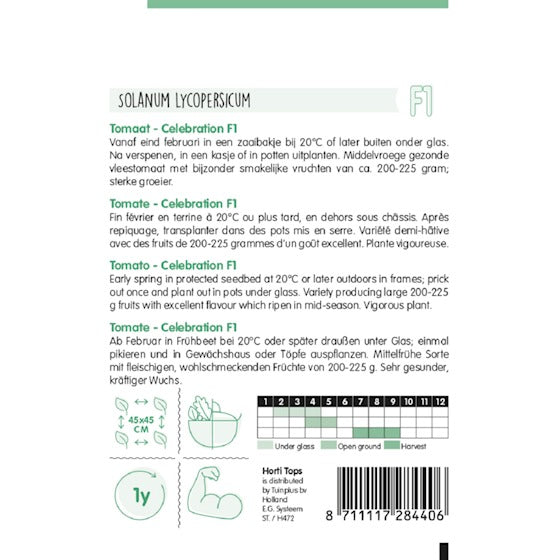 Tomato Celebration F1 Fleischtomate 0,2 Gramm Hortitops