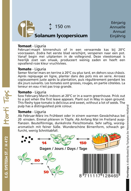 Tomate Ligurien 25 Samen Hortitops