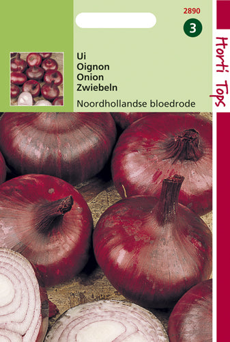 Uien Ajuin Noordhollandse Bloedrode te koop Moestuinweetjes.com