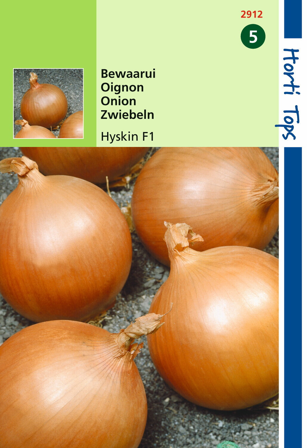 Oignons Hyskin F1 600 graines