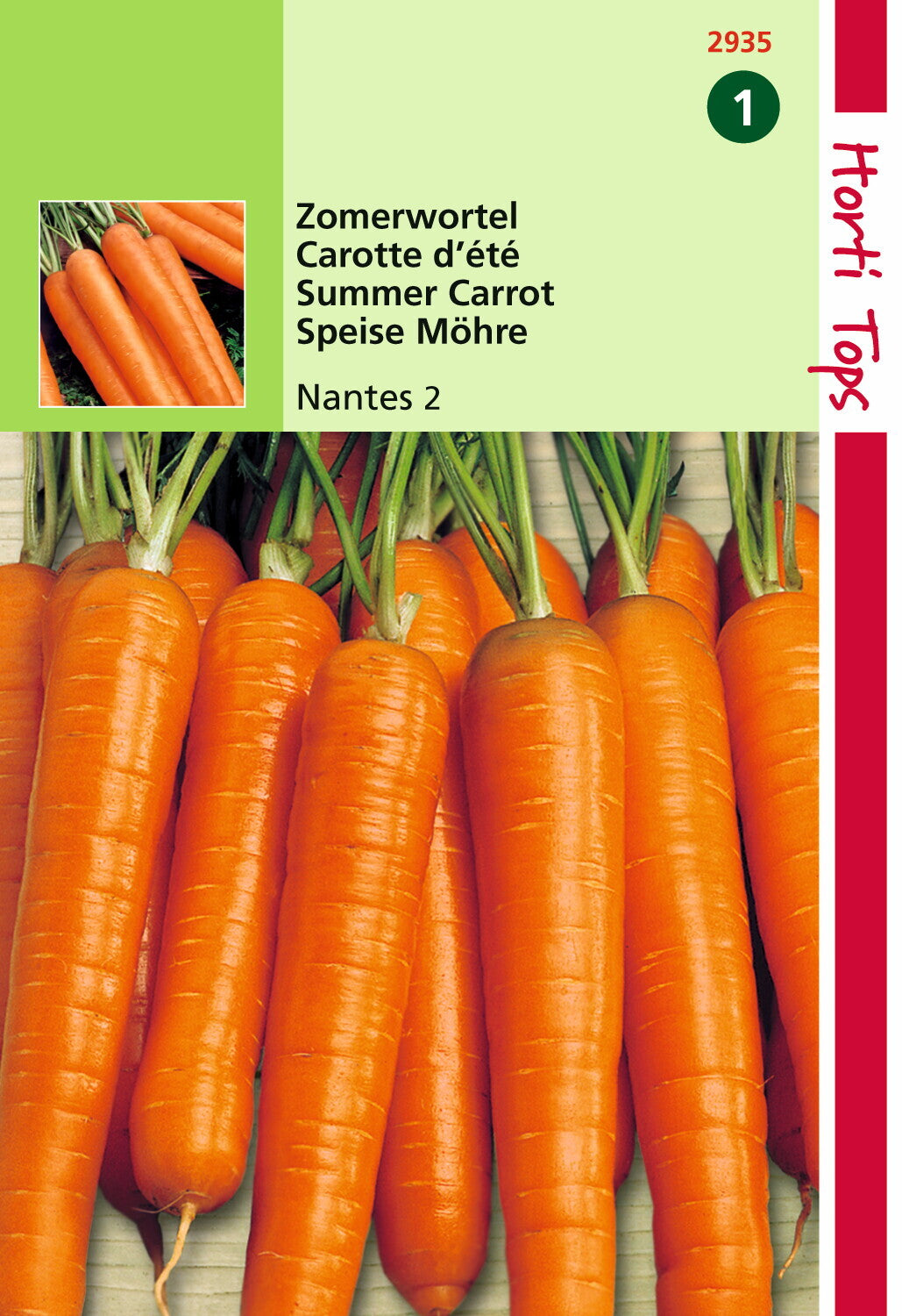 Carotte Nantes 2 Medium - contenu : 6 grammes