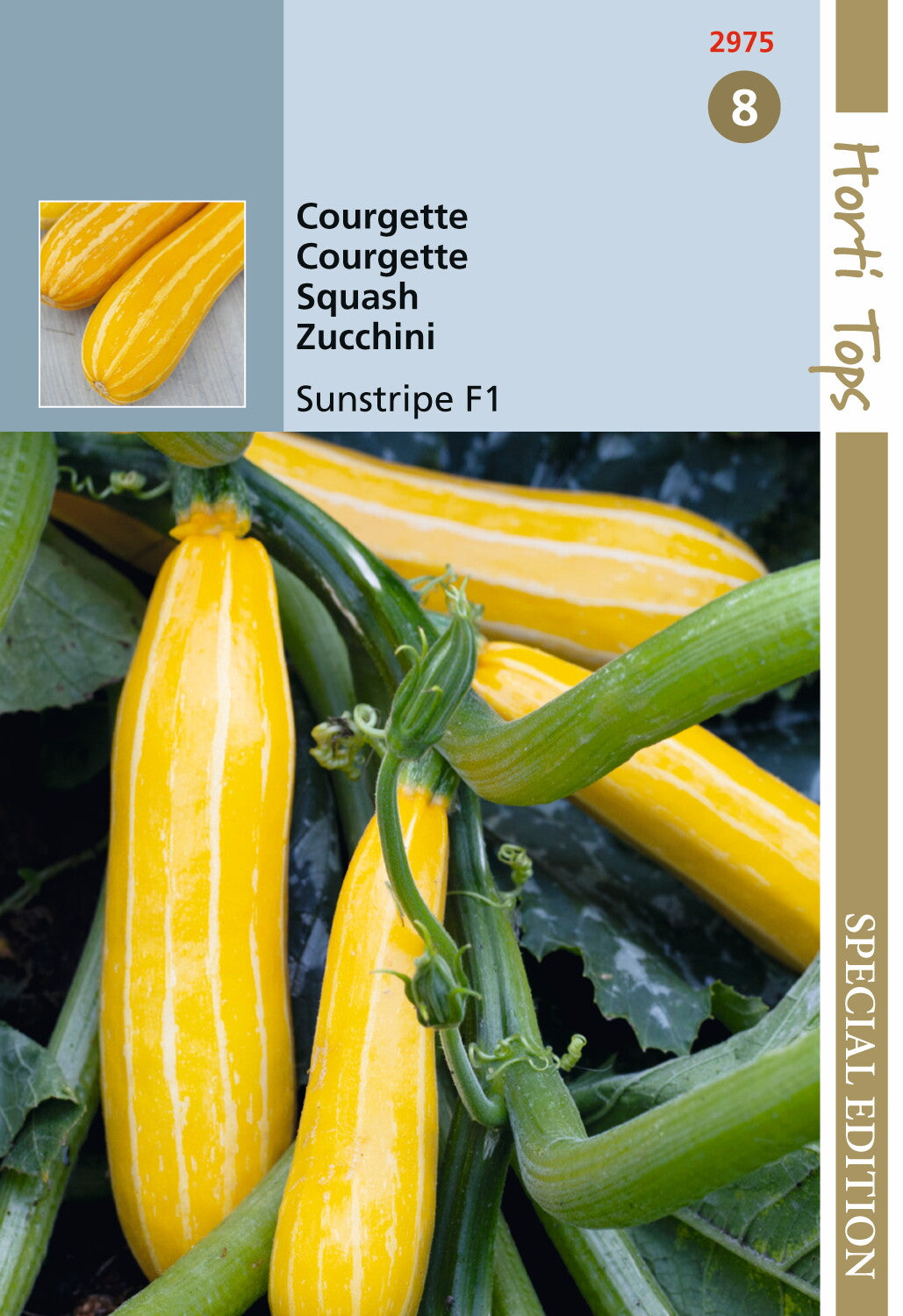 Zucchini Sunstripe gelb F1 8 Samen - HV