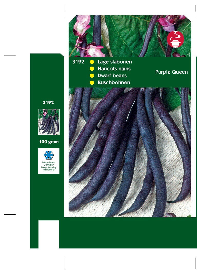 Haricots princesses arbustifs Purple Queen - haricots violets 100 grammes