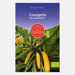 Courgette 'Ola Gabriella F1' BIO