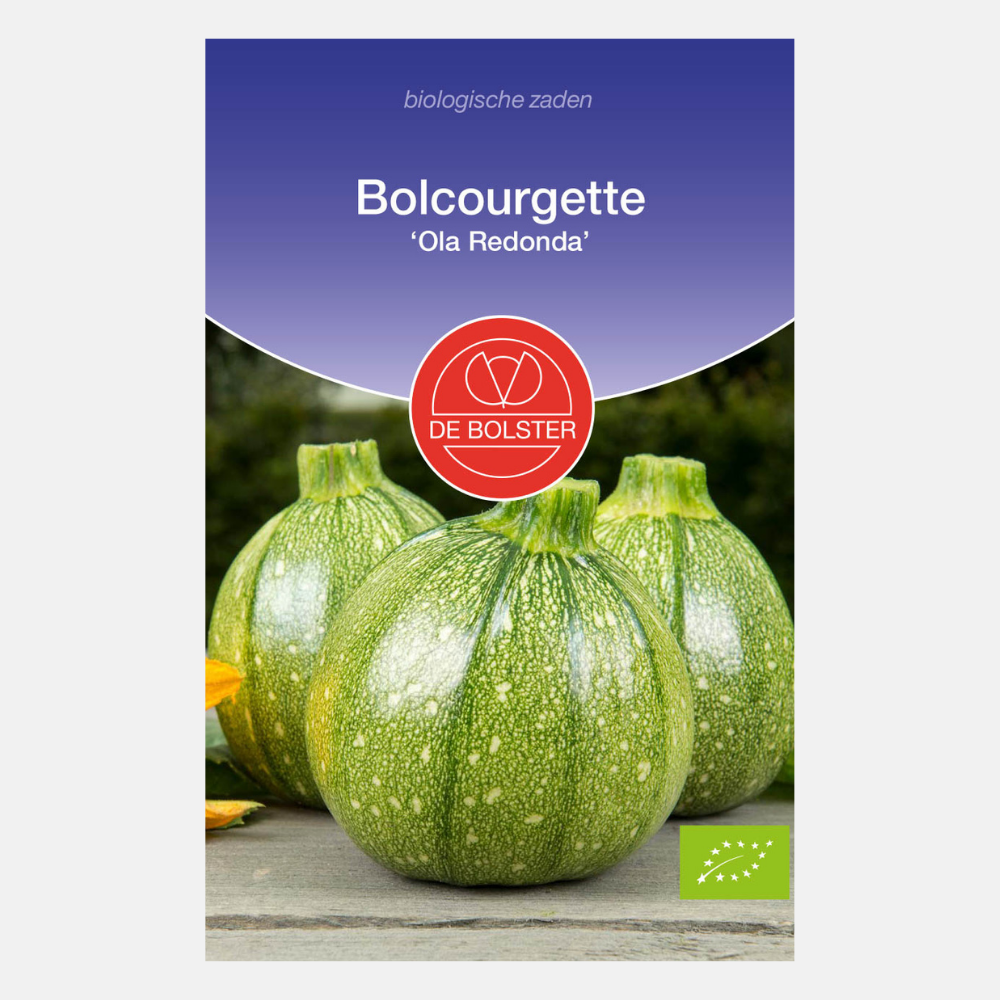 Bulbe de courgette 'Ola Redonda' BIO