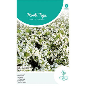 Toile de neige Alyssum 0,5 gramme