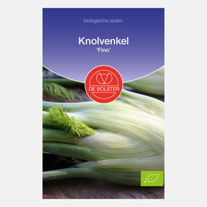 Knolvenkel 'Fino' BIO