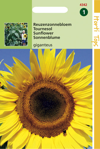 Sonnenblume Giganteus - Inhalt: 4 Gramm