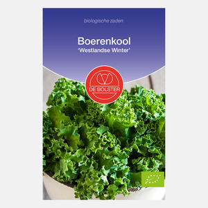 Boerenkool 'Westlandse Winter' BIO