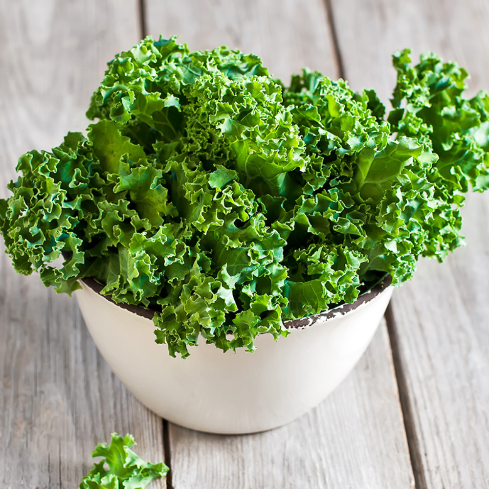 Kale 'Westlandse Winter' BIO