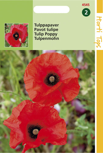 Klaproos (Tulp Papaver) te koop op Moestuinweetjes.be