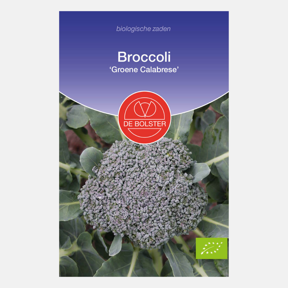 Brocoli 'Vert Calabrese' BIO