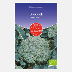 Brocoli 'Belstar F1' BIO