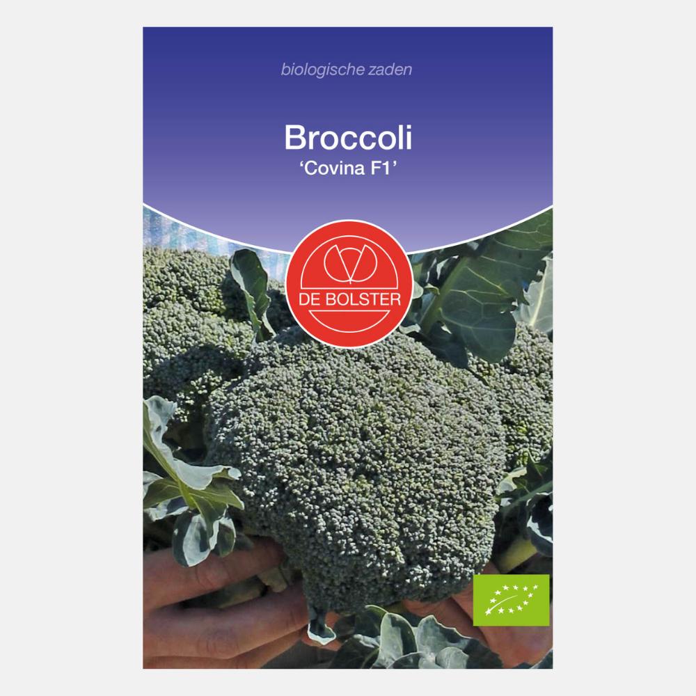 Broccoli 'Covina F1' BIO