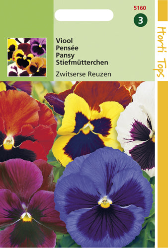 Viola Zwitserse Reuzen te koop op Moestuinweetjes.com