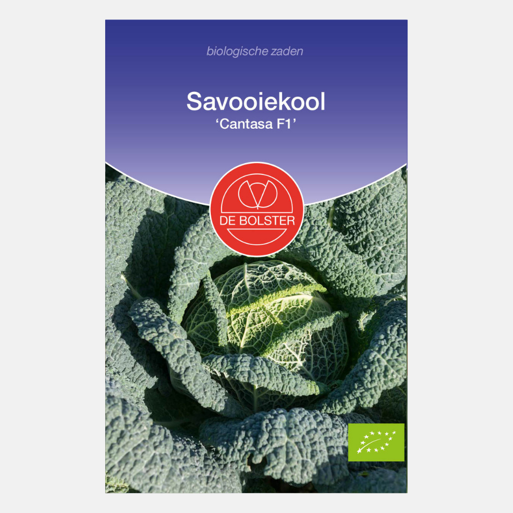 Savooiekool 'Cantasa F1' BIO