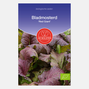 Bladmosterd 'Red Giant' BIO