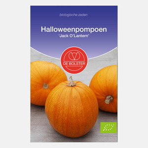 Halloweenpompoen 'Jack O’Lantern' BIO