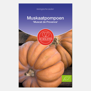 Muskaatpompoen 'Muscat de Provence' BIO