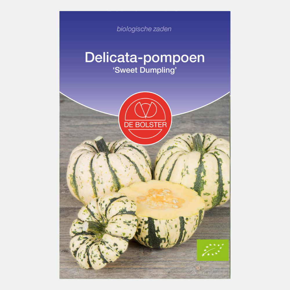 Delicata-pompoen 'Sweet Dumpling' BIO