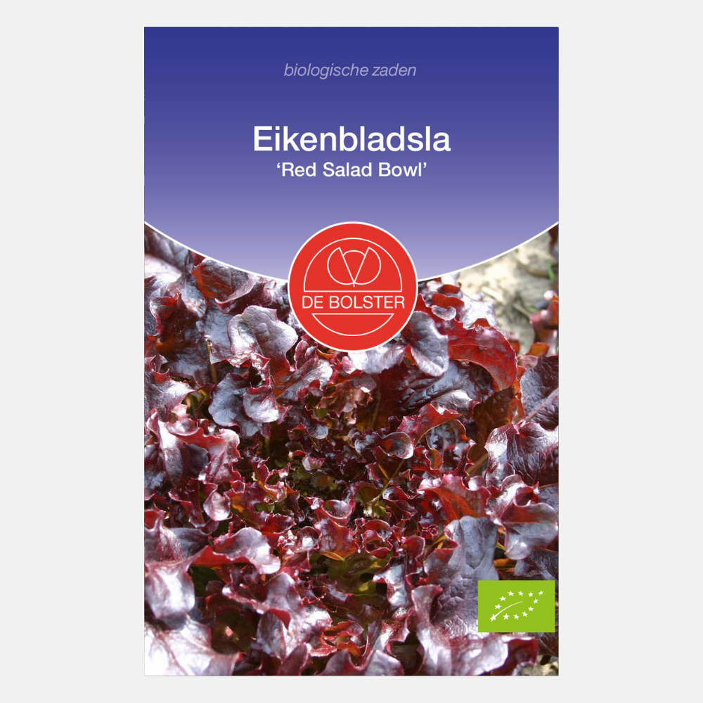 Eikenbladsla ‘Red Salad Bowl' BIO