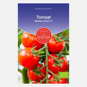 Tomate 'Bolstar Gimli F1' BIO