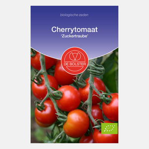 Cherrytomaat 'Zuckertraube' BIO