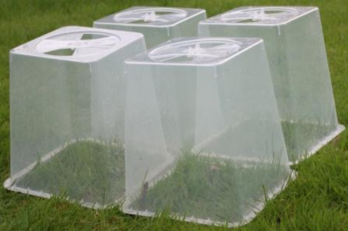 Quadgrow Beschermkappen doorschijnend 27 cm hoog met ventilatie