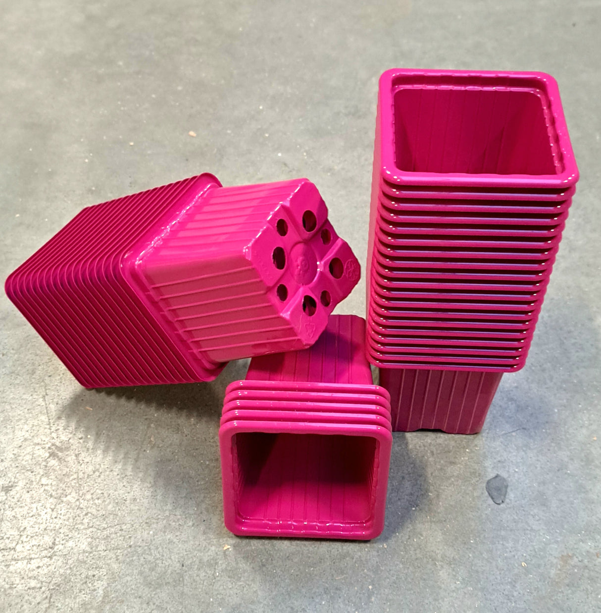 P7 Topf Gemüsegarten Pflanztöpfe FUCHSIA 7x7x6,5cm (Menge wählen)