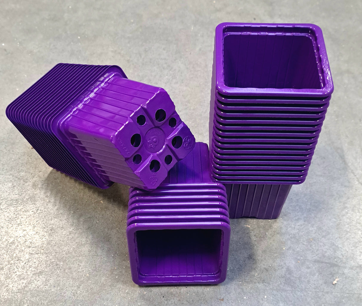 P7 Topf Gemüsegarten Pflanztöpfe VIOLETT 7x7x6,5cm (Menge wählen)