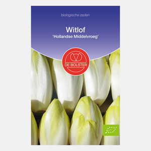 Witlof 'Hollandse Middelvroeg' BIO