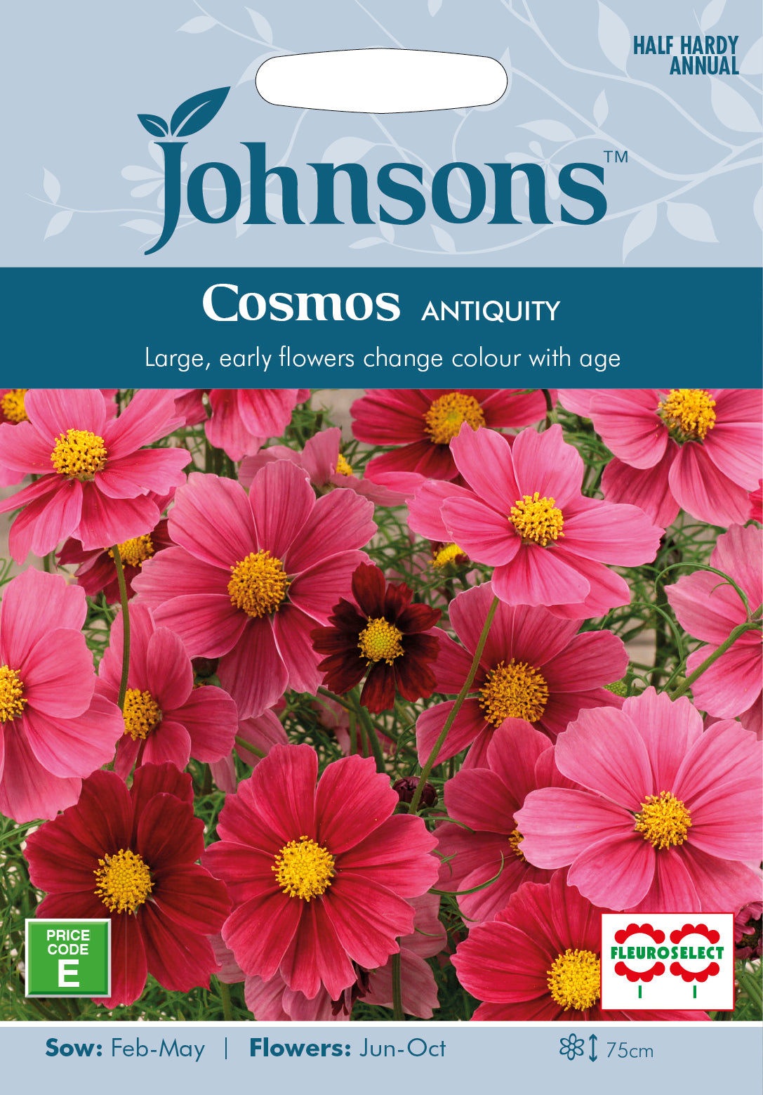 KOSMOS - Cosmea 'Antike'